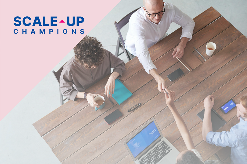 scale-up champions